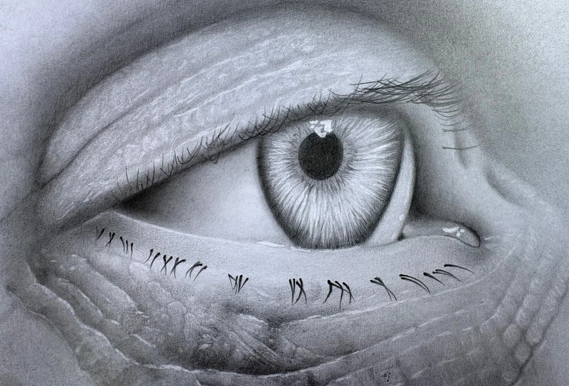 Visual practice graphite drawing study